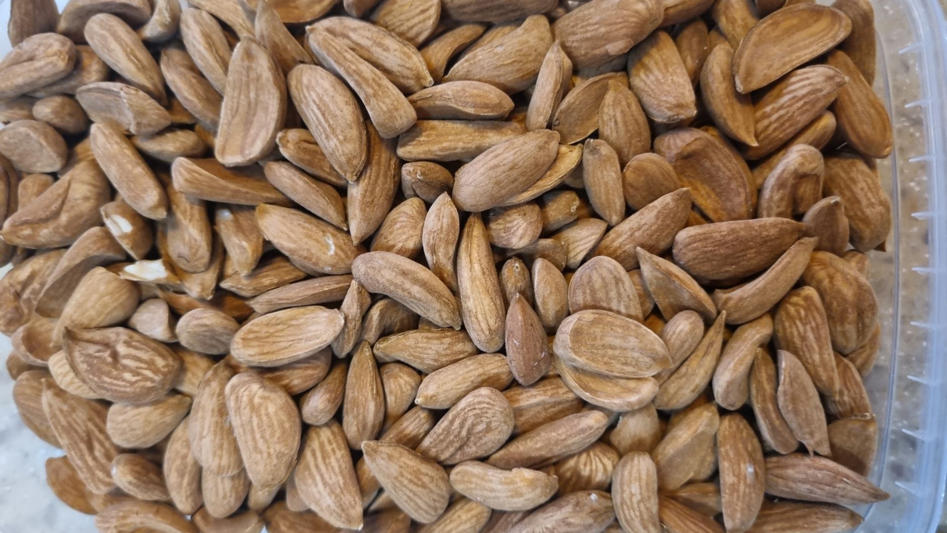 فروش بادام 